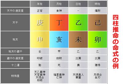 年柱 月柱 日柱|【四柱推命】基本的な命式の読み方・見方